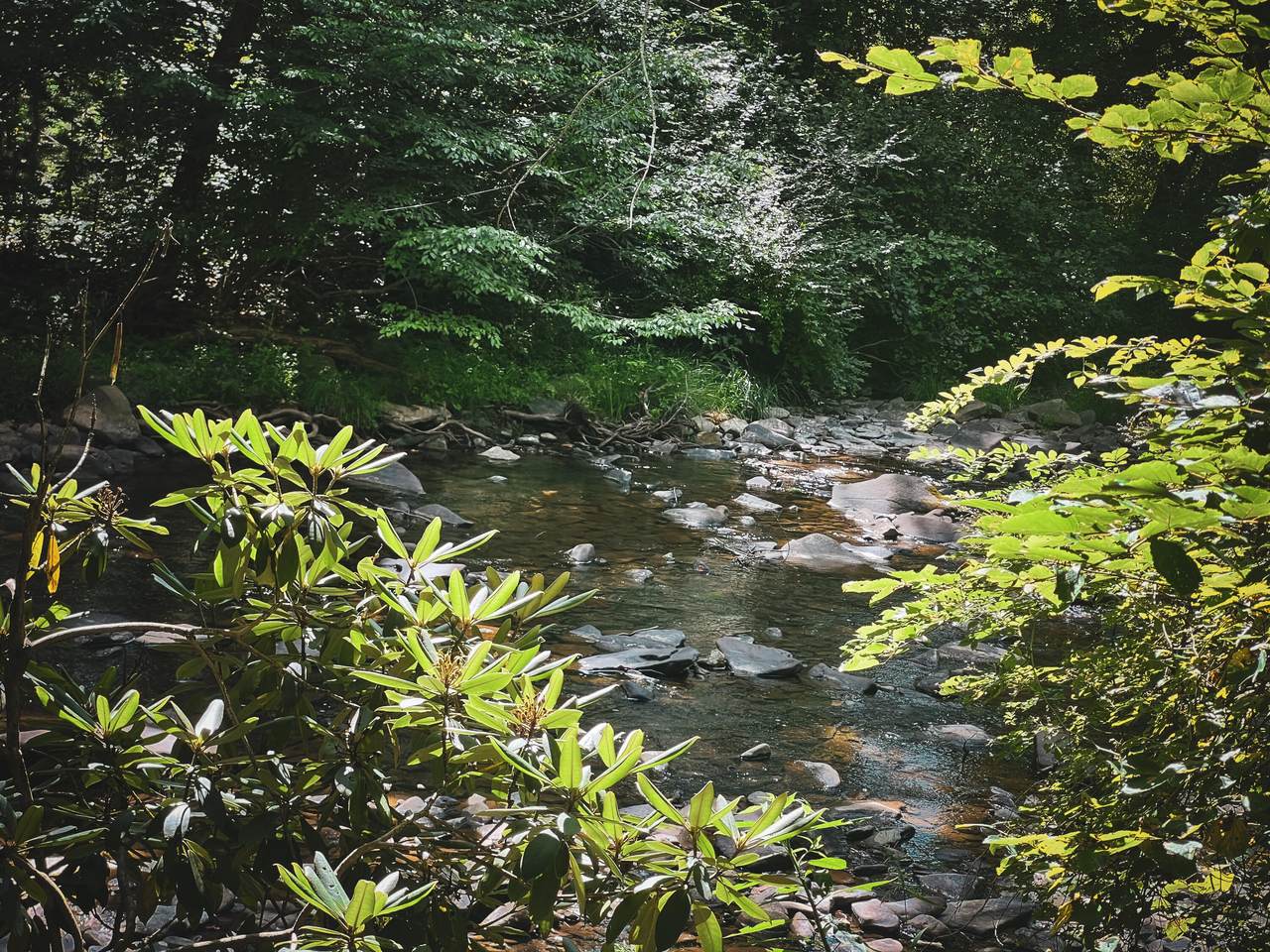 https://bt-photos.global.ssl.fastly.net/greenbrier/1280_boomver_1_24-1087-2.jpg
