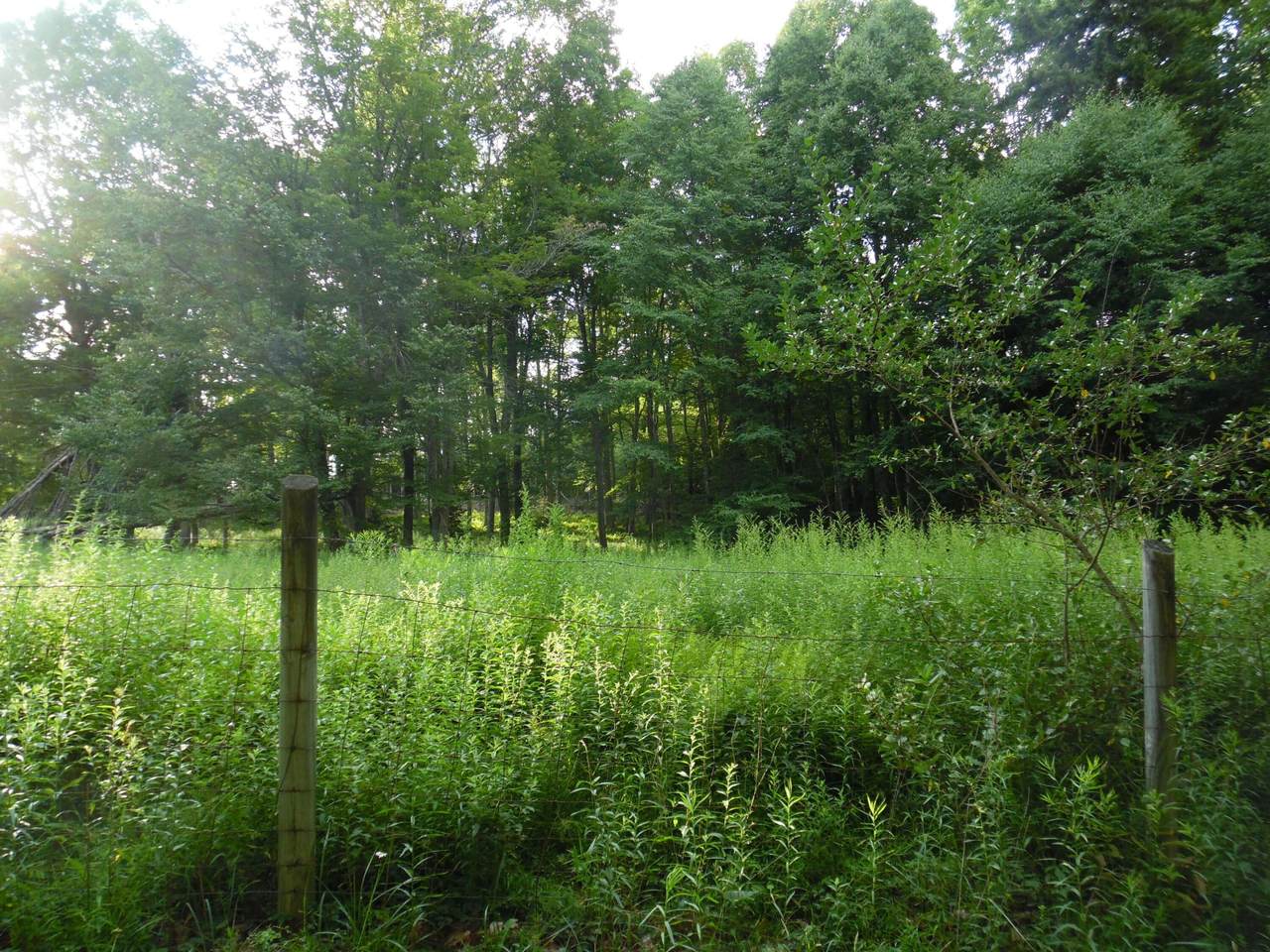 https://bt-photos.global.ssl.fastly.net/greenbrier/1280_boomver_1_24-1098-2.jpg