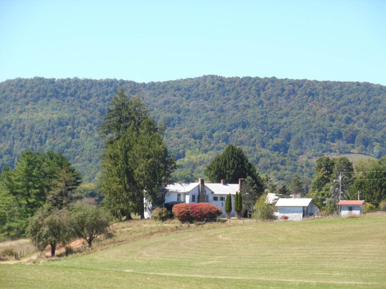 125 The Pines Drive - Photo 1