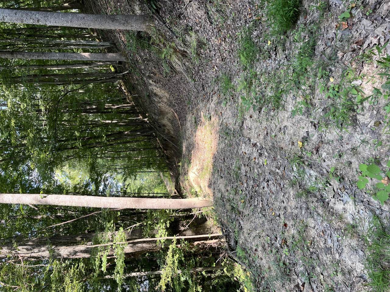 Lot 3 Ellison Ridge Rd - Photo 1