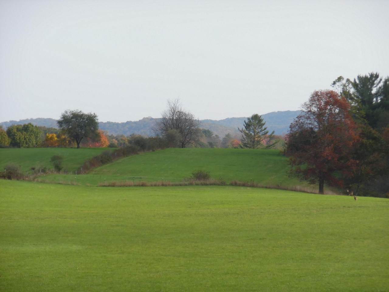 125m The Pines Drive - Photo 1