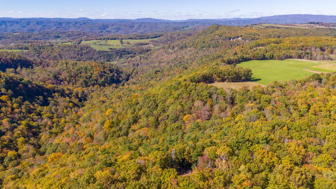  Muddy Creek Mountain Rd - Photo 1