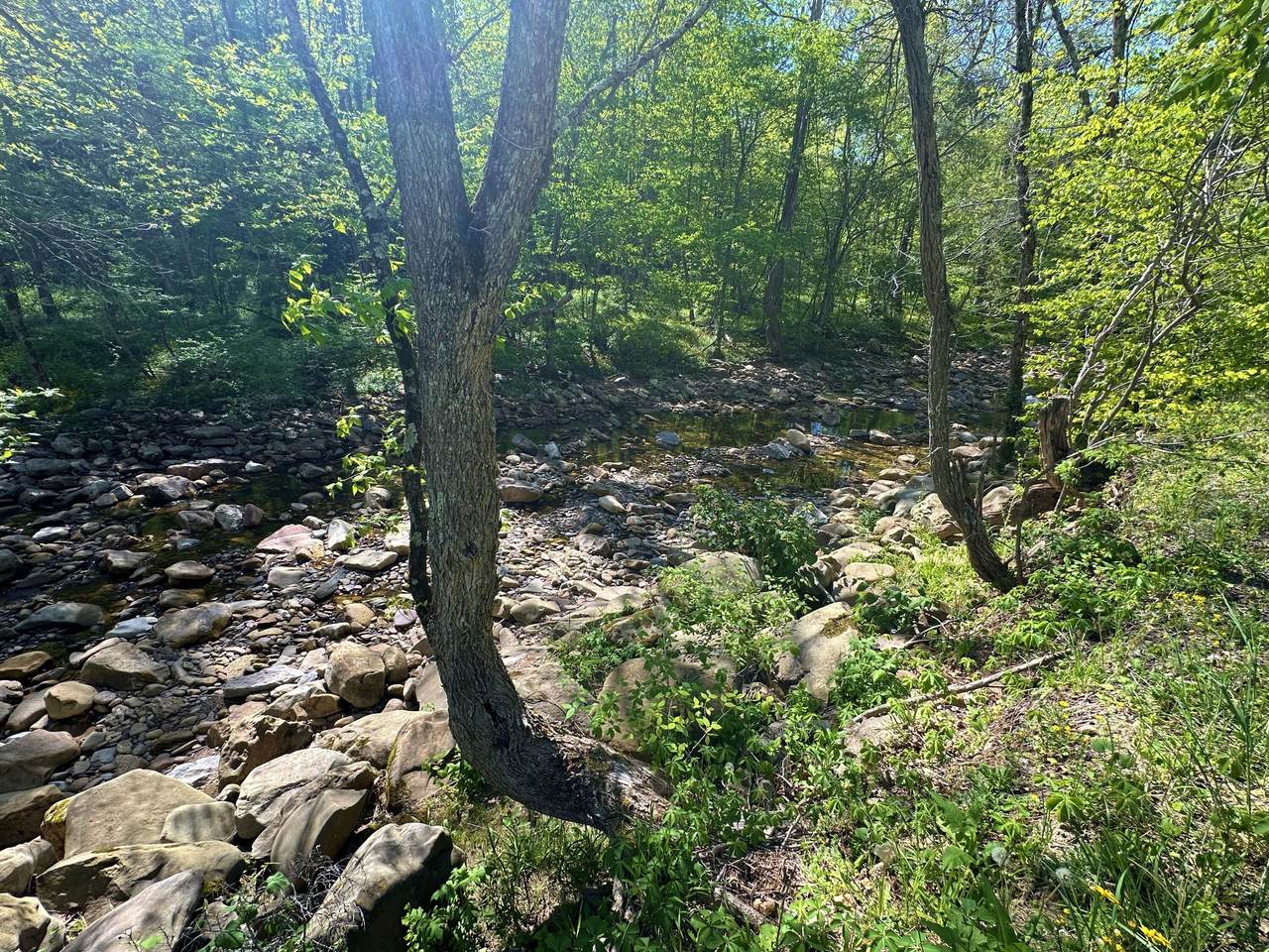 https://bt-photos.global.ssl.fastly.net/greenbrier/1280_boomver_1_24-1624-2.jpg