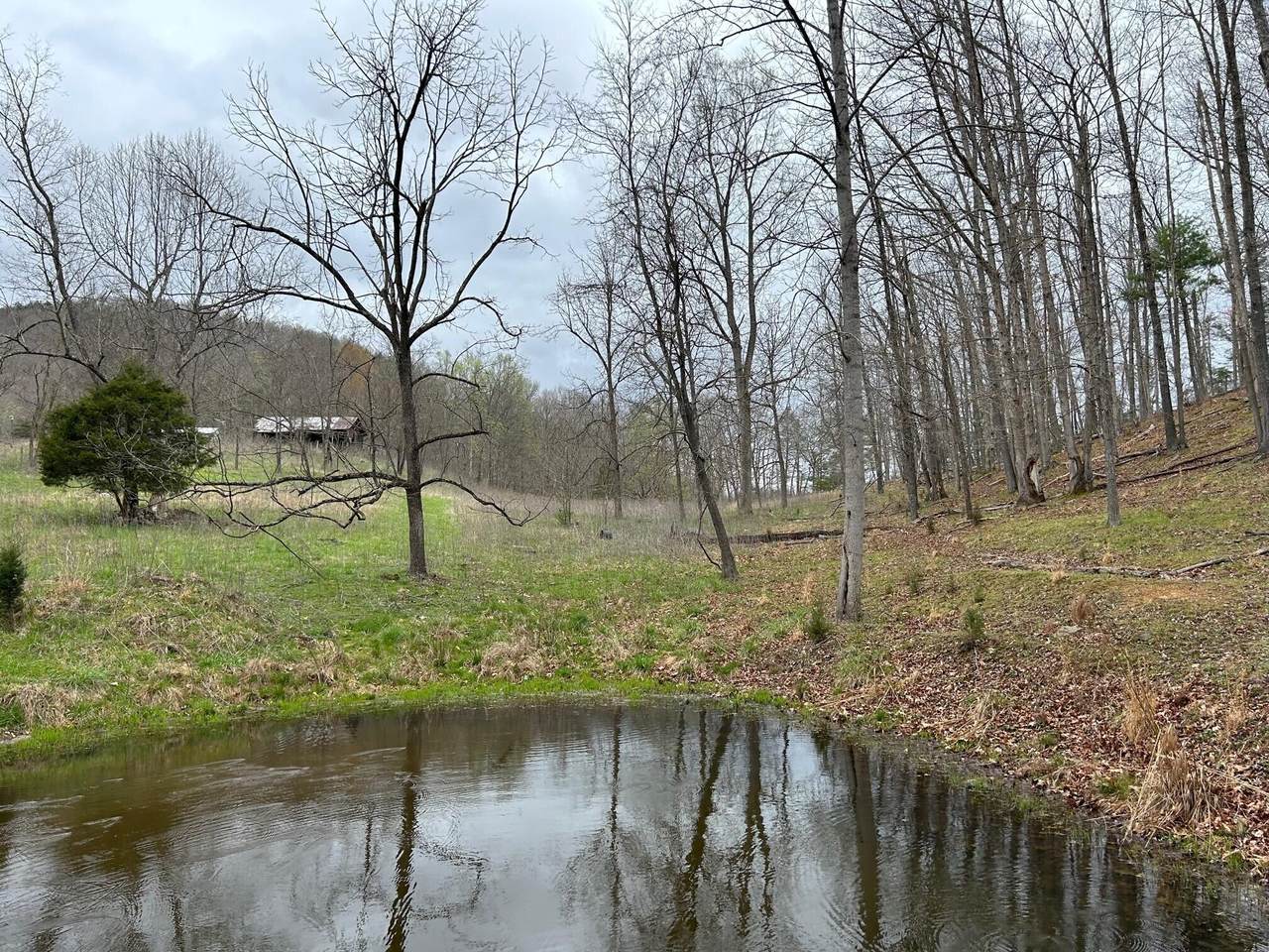 2443 Bruce Allen Rd - Photo 1