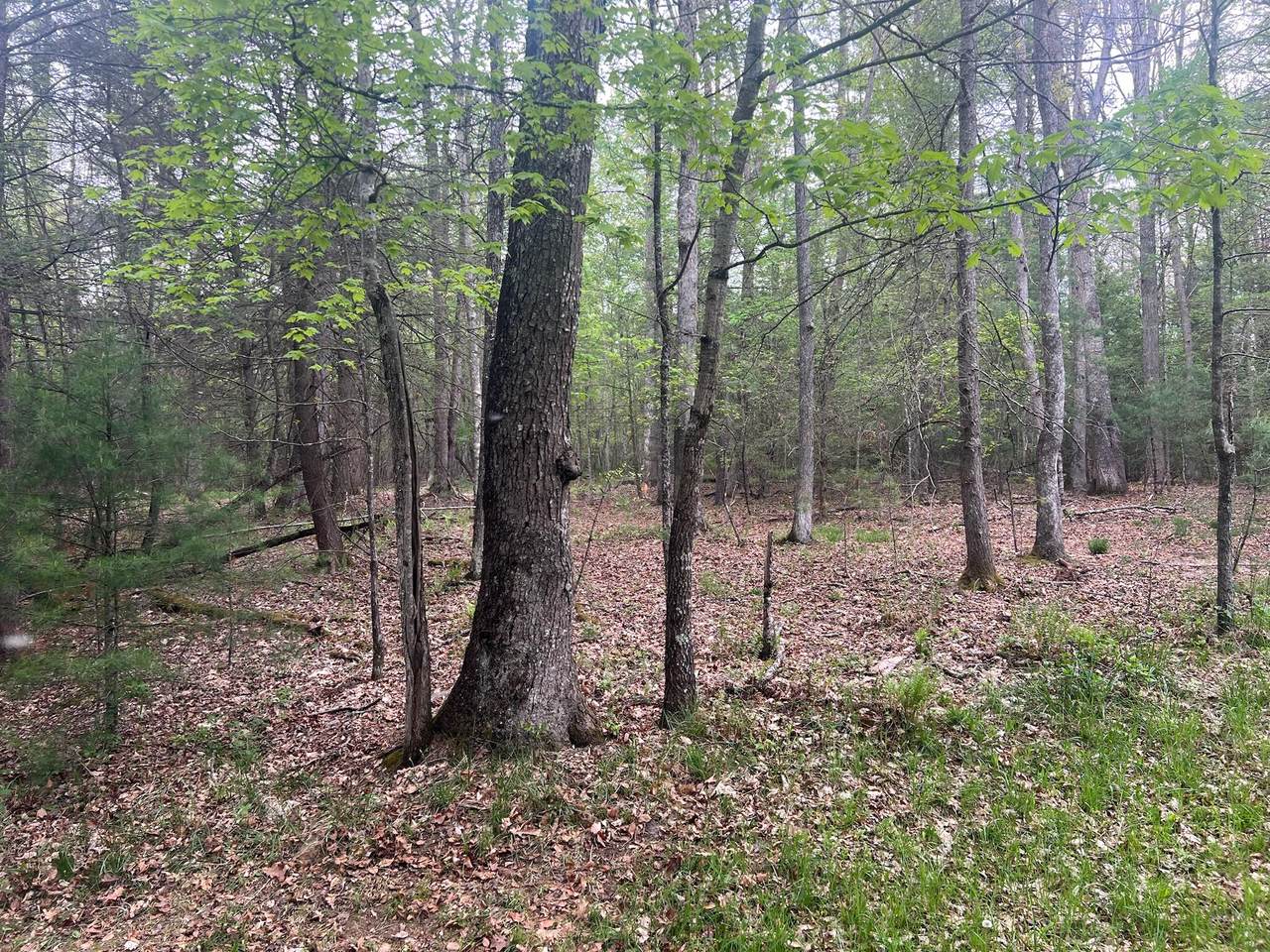 https://bt-photos.global.ssl.fastly.net/greenbrier/1280_boomver_1_24-574-2.jpg