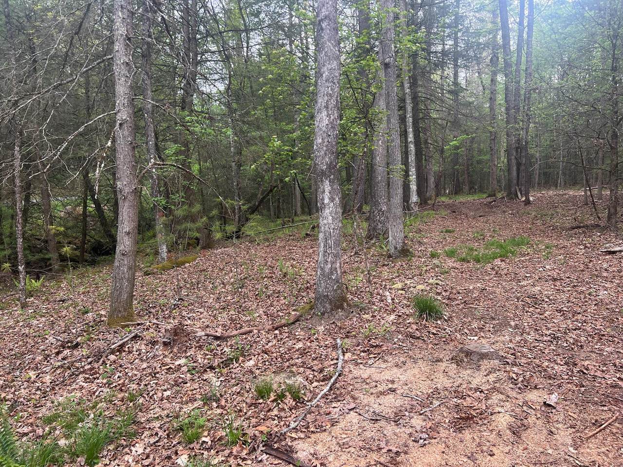 https://bt-photos.global.ssl.fastly.net/greenbrier/1280_boomver_1_24-574-2.jpg