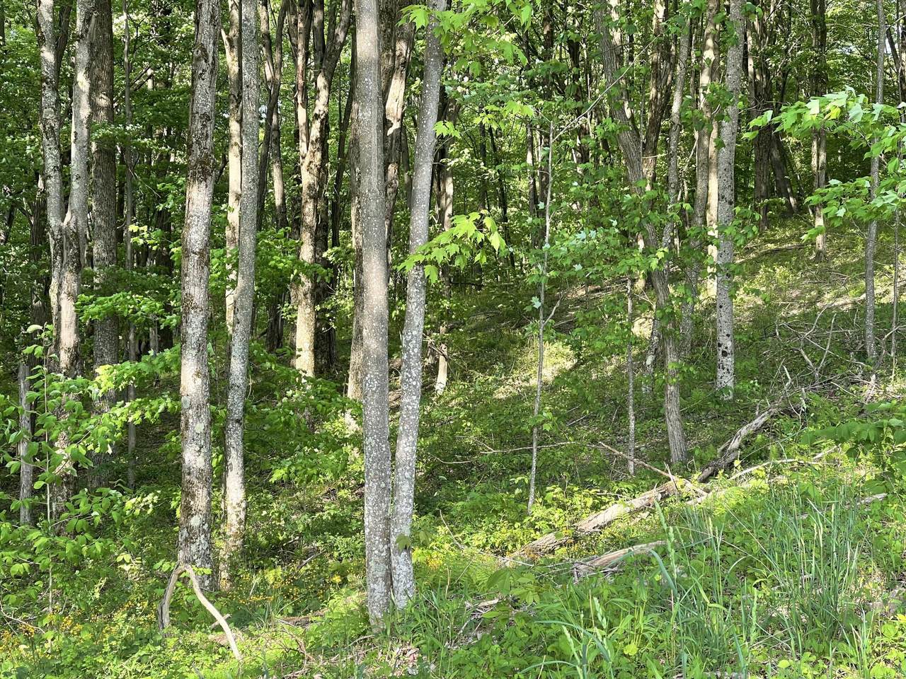 https://bt-photos.global.ssl.fastly.net/greenbrier/1280_boomver_1_24-708-2.jpg