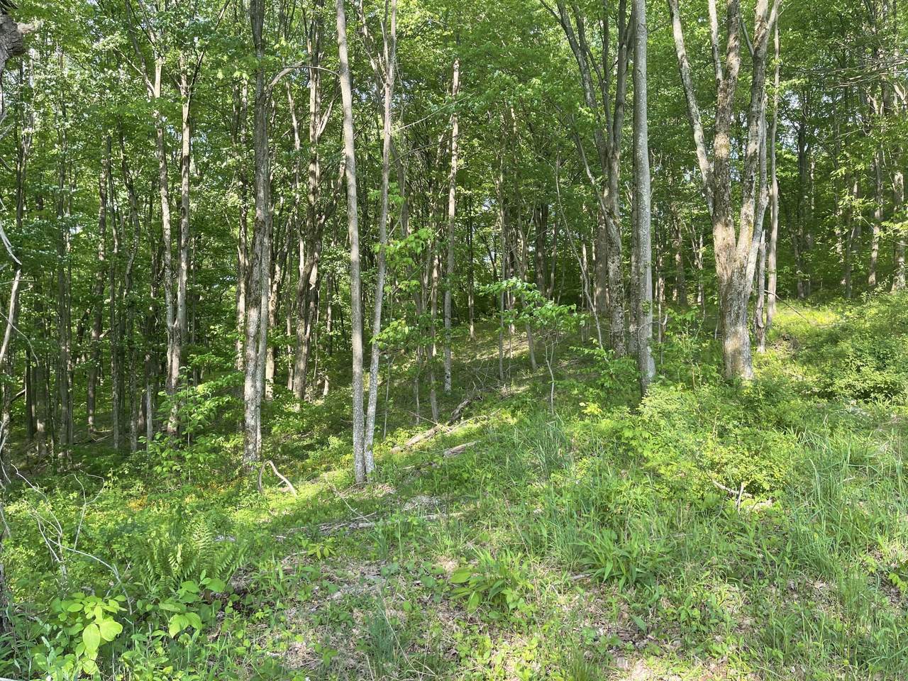 https://bt-photos.global.ssl.fastly.net/greenbrier/1280_boomver_1_24-708-2.jpg