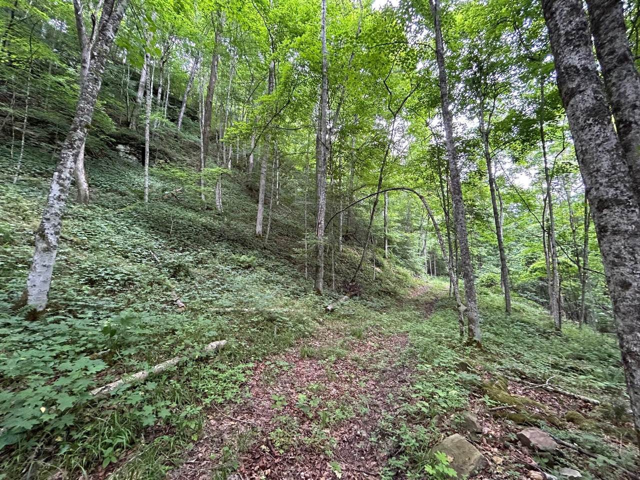 https://bt-photos.global.ssl.fastly.net/greenbrier/1280_boomver_1_24-786-2.jpg