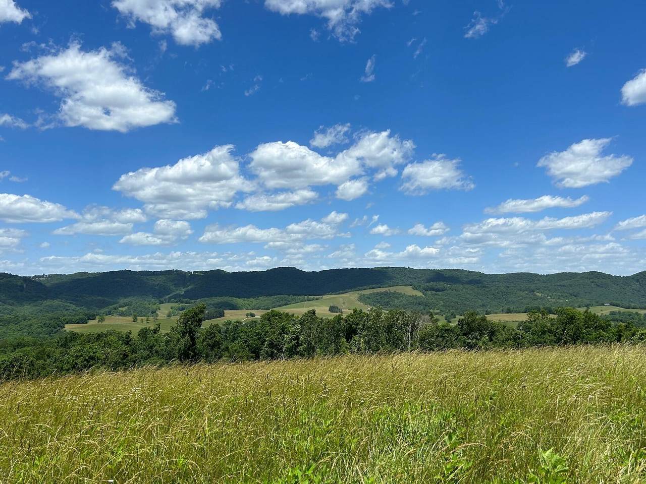 594 E Little Wolf Creek Rd - Photo 1