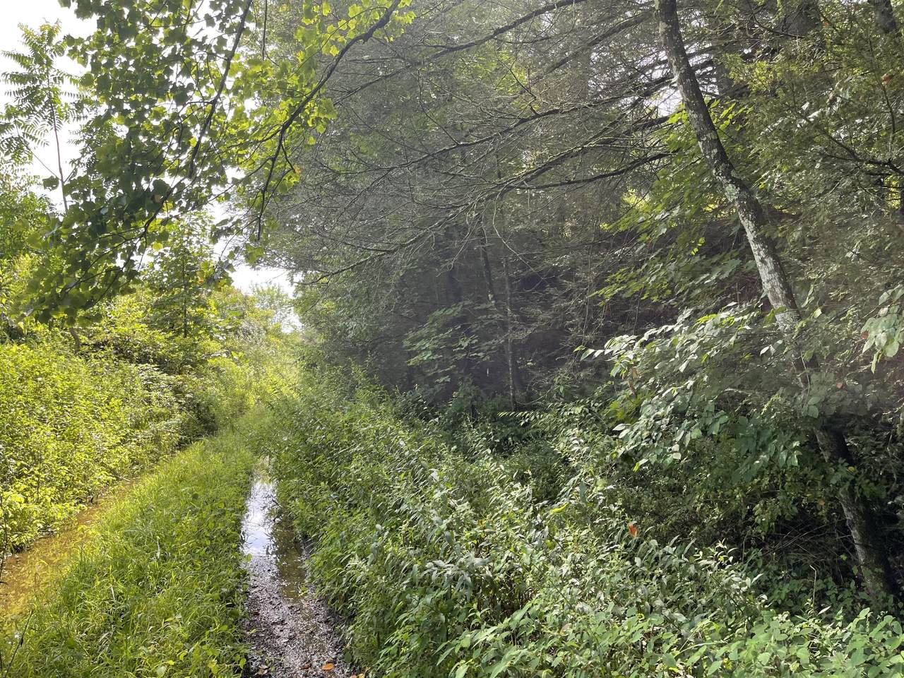 212 Granite Ln - Photo 1