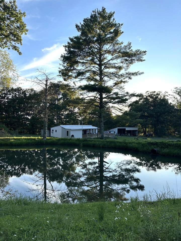 380 Rehm's Mtn Rd. - Photo 1