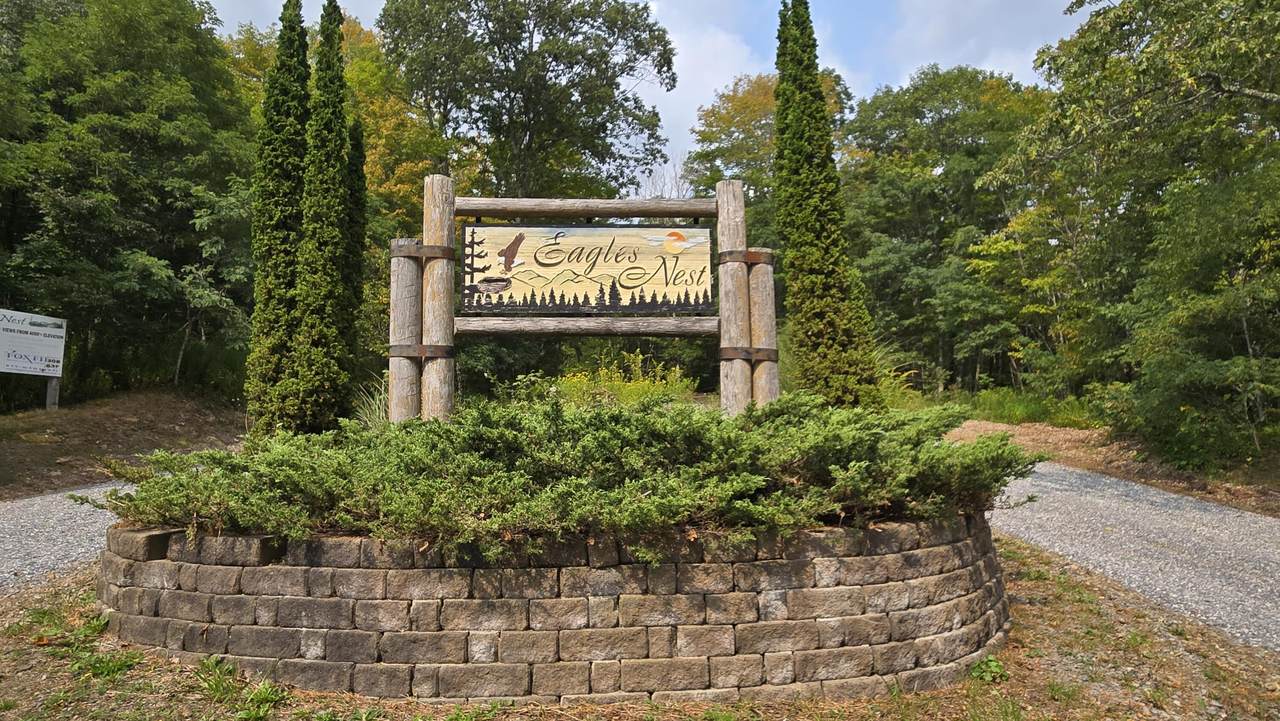 Lot 17 Eagles Nest - Photo 1