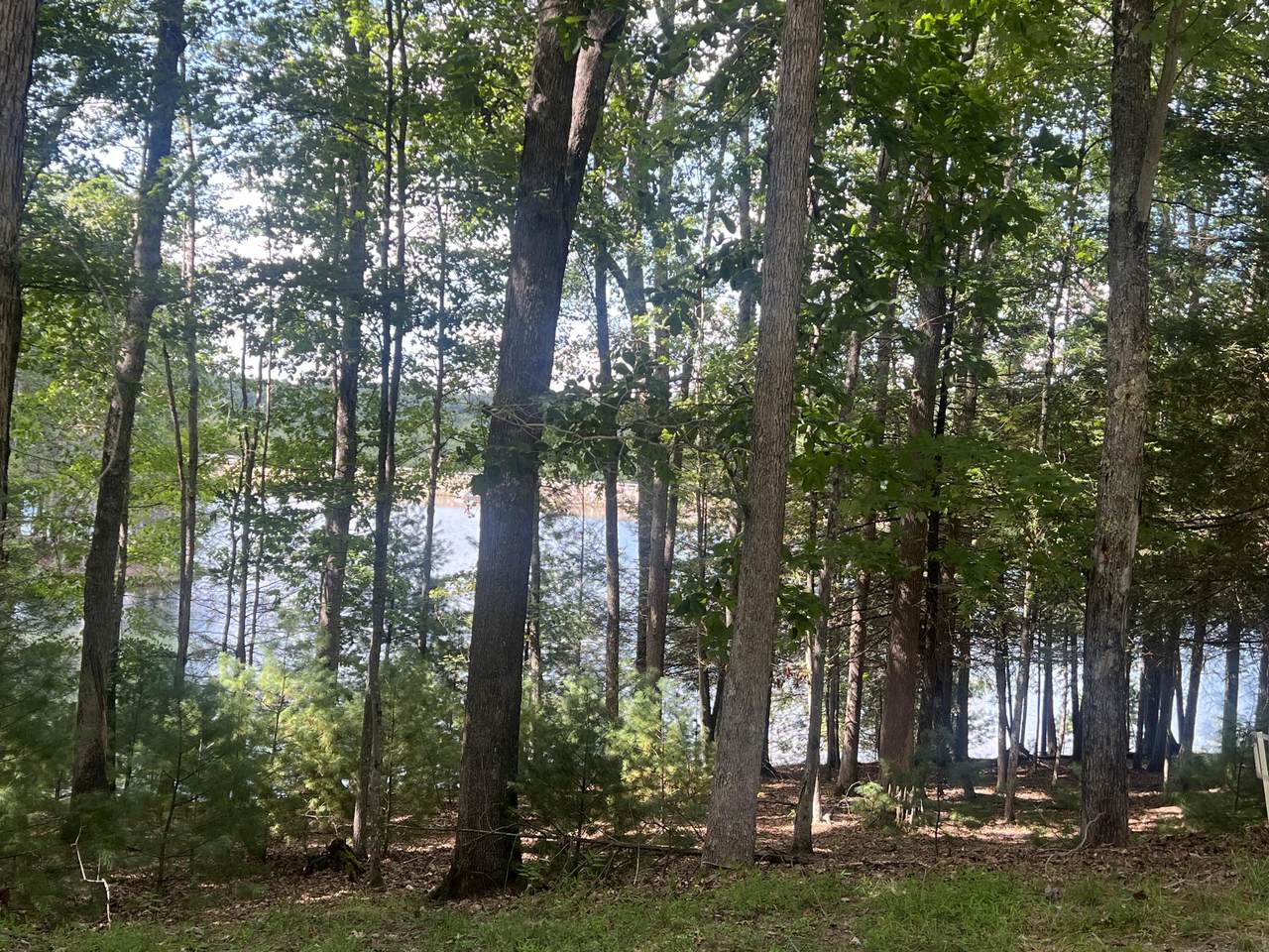 430 Far Country Dr - Photo 1