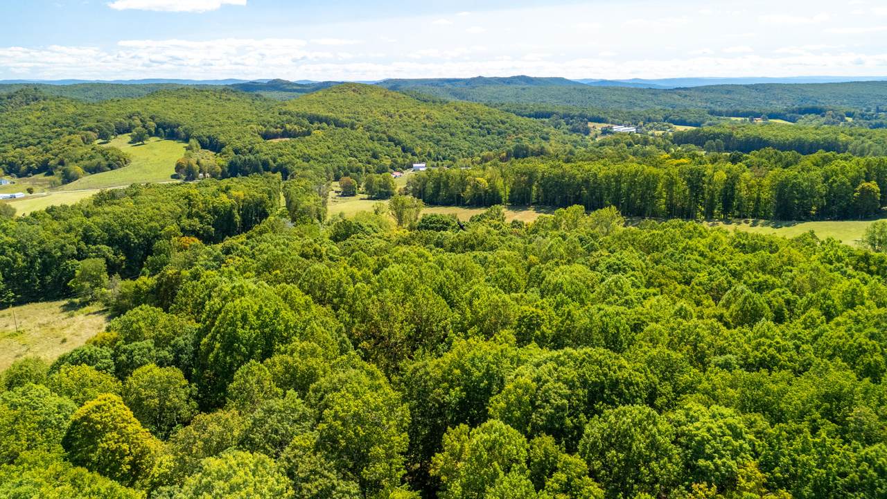 https://bt-photos.global.ssl.fastly.net/greenbrier/1280_boomver_1_25-1124-2.jpg