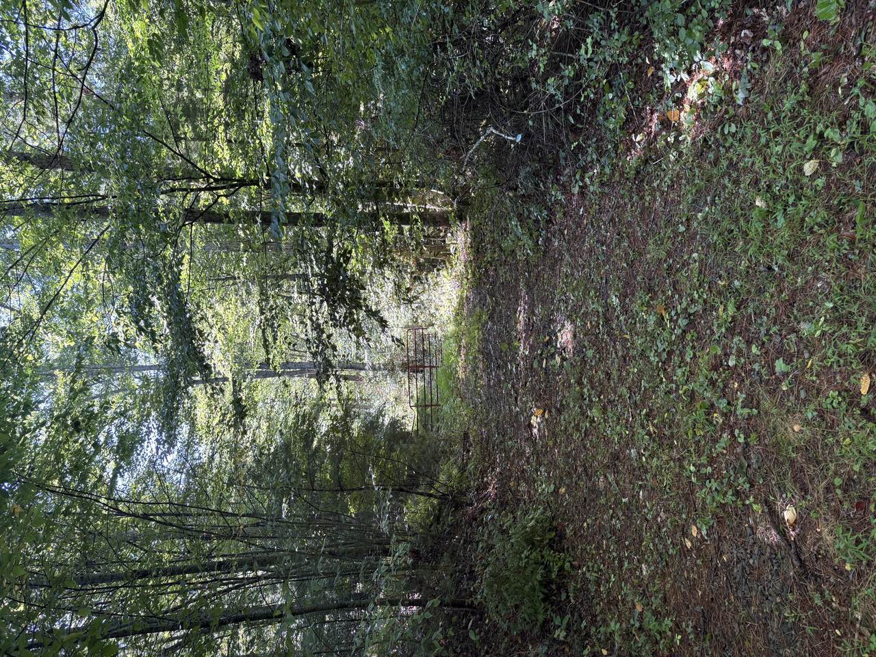  Morris Branch Rd - Photo 1