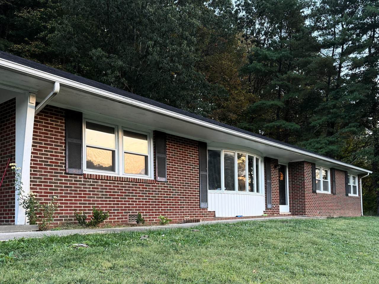 976 Lurich Rd - Photo 1