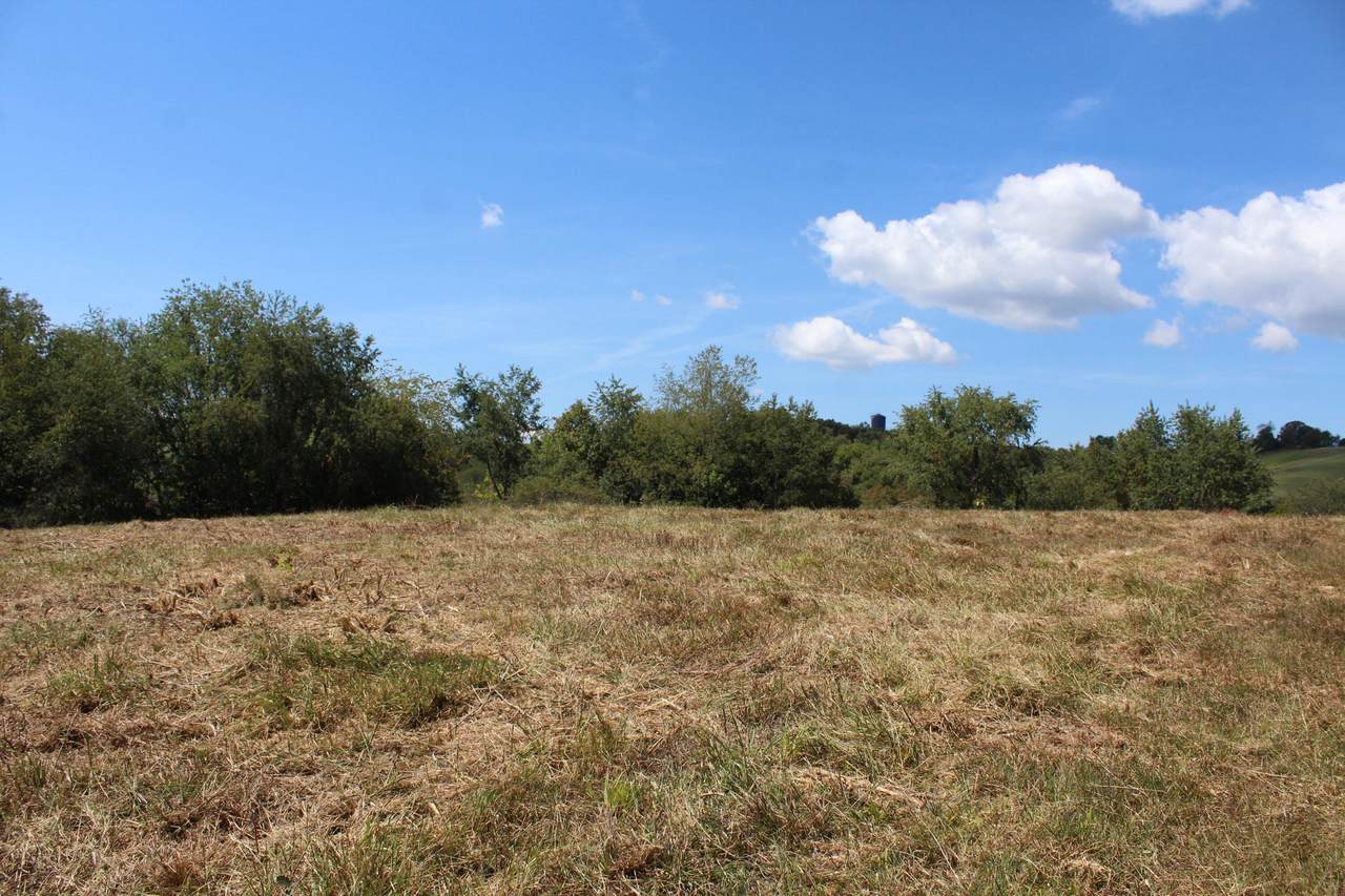 3797 Sweet Springs Valley Rd - Photo 1