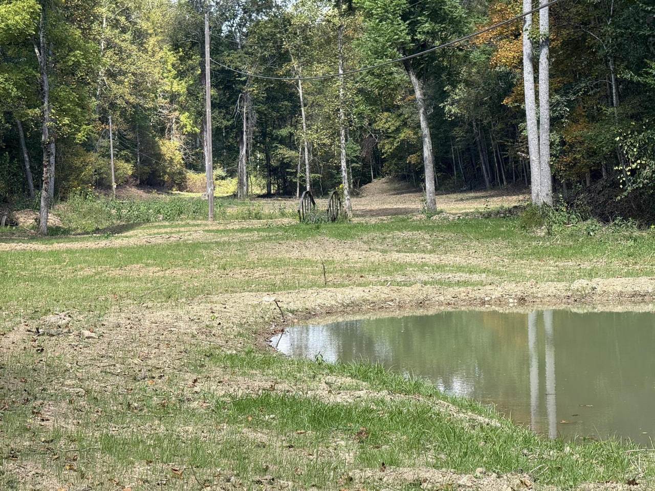  4329 Cooks Run Rd - Photo 1