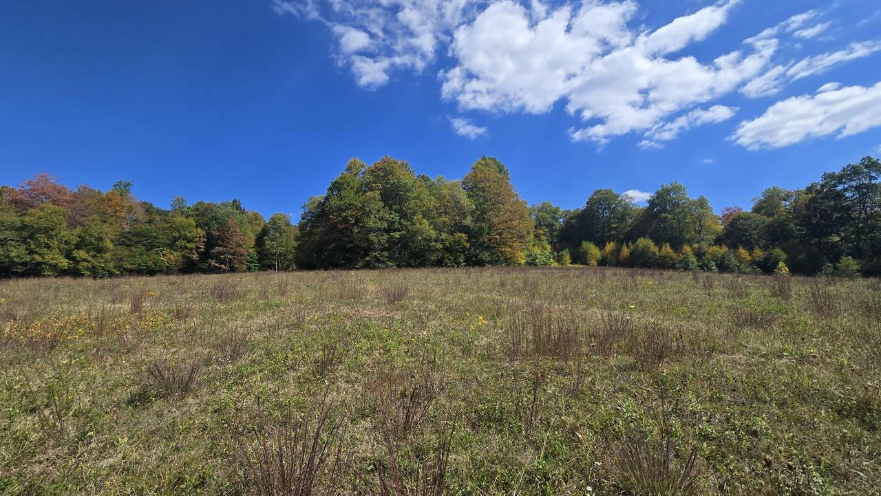 https://bt-photos.global.ssl.fastly.net/greenbrier/1280_boomver_1_25-1180-2.jpg