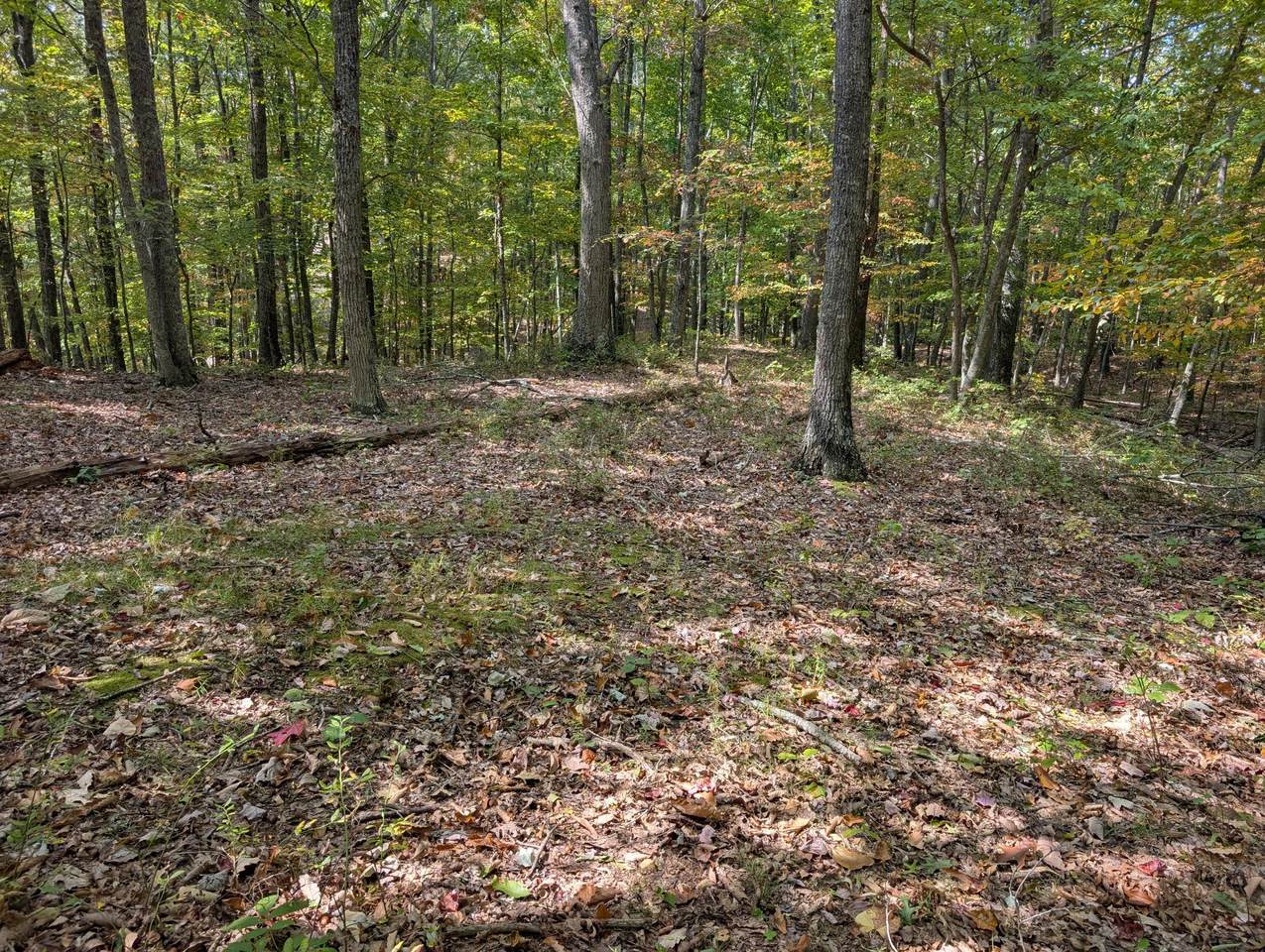 Lot 90 Overlook - Photo 1