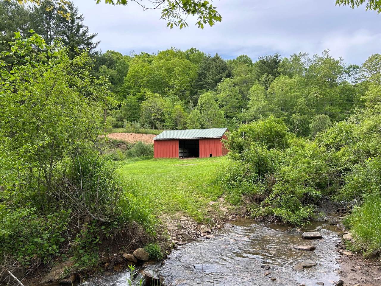 975 Fleshman Hollow Rd - Photo 1