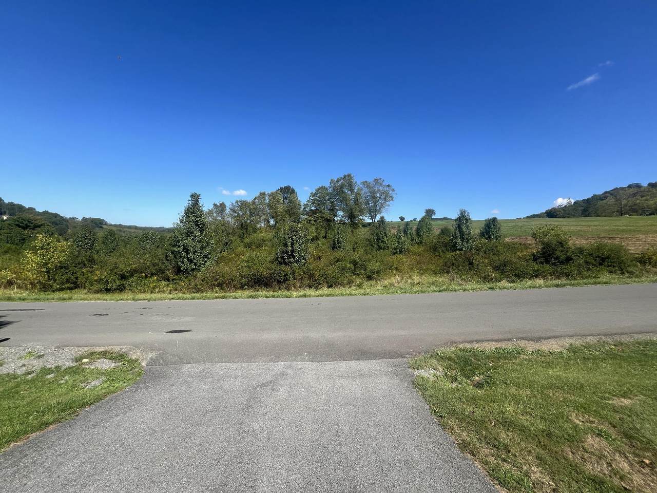 Lots 12&13 Fountains Springs Dr. - Photo 1