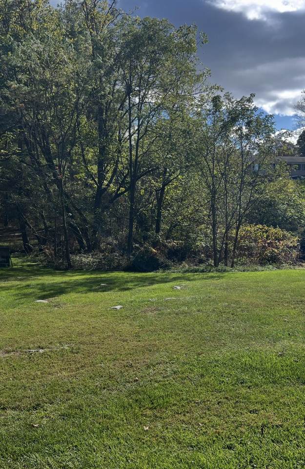 Tbd Longview Estates Road - Photo 1