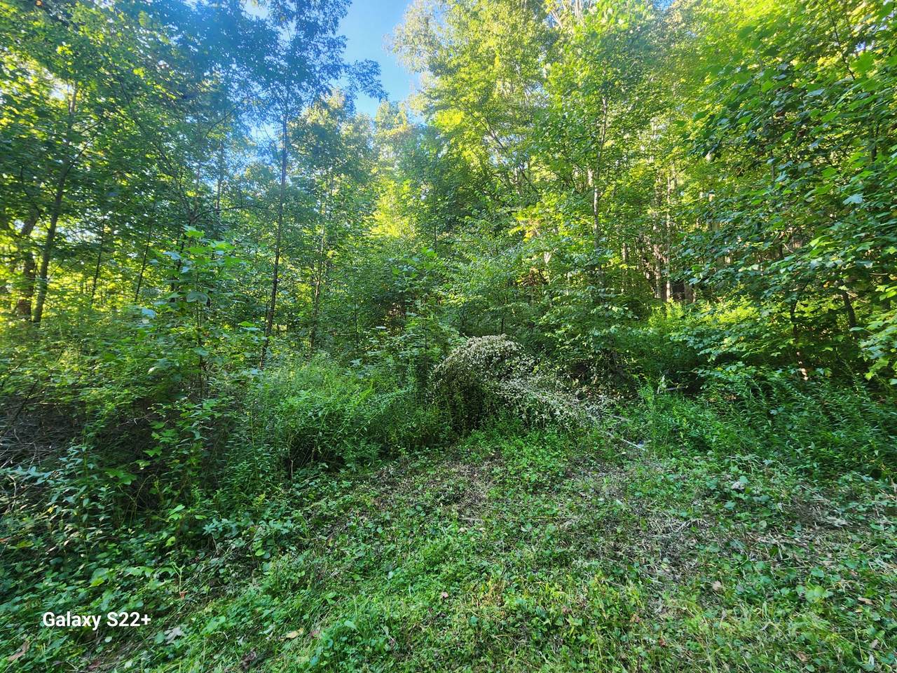 2 Ac 2 Ac Off Midland Trl W Rupert, - Photo 1