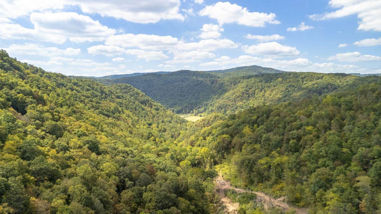  Ellison Ridge Rd - Photo 1