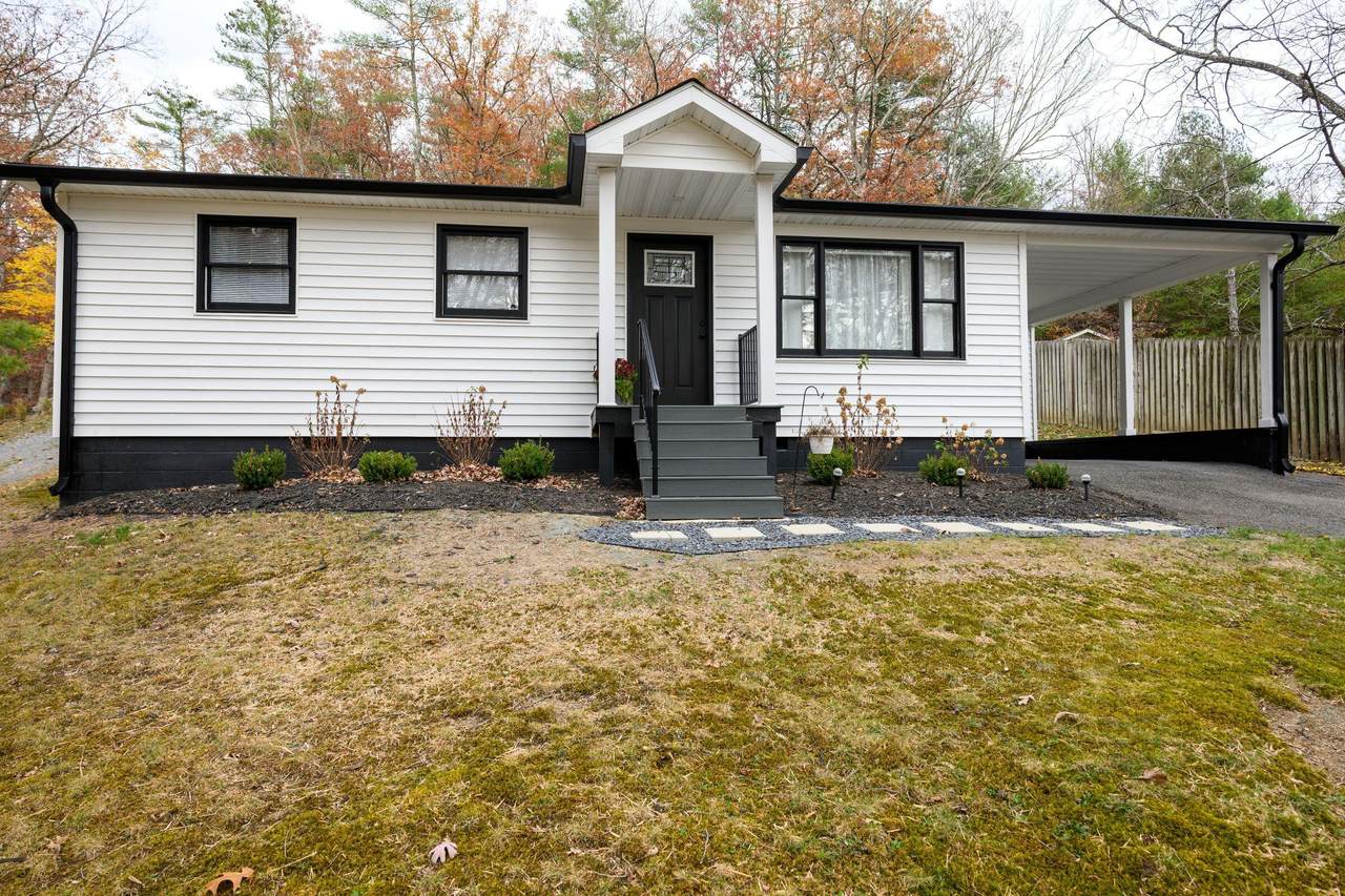 228 Rip Van Winkle Rd - Photo 1