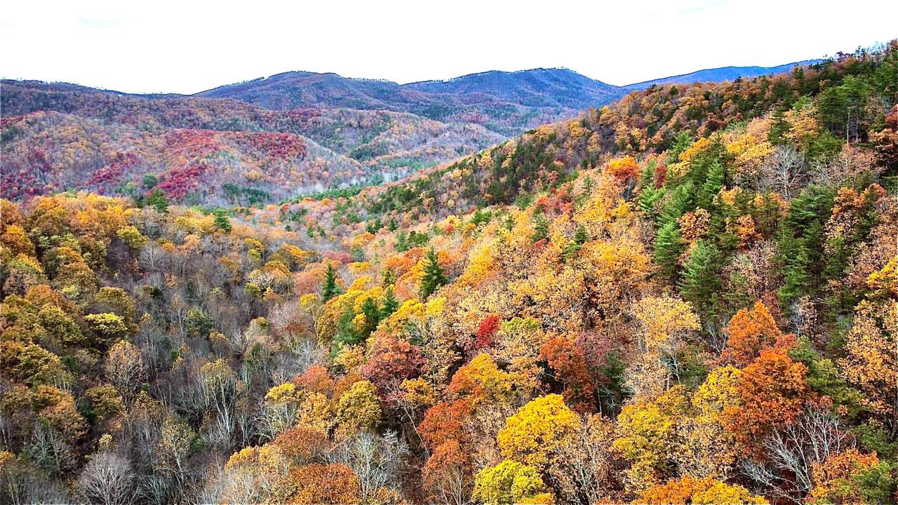  Blackberry Way Lot 19 Tract B - Photo 1