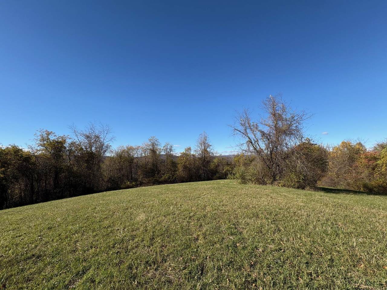 29276 Seneca Trl - Photo 1