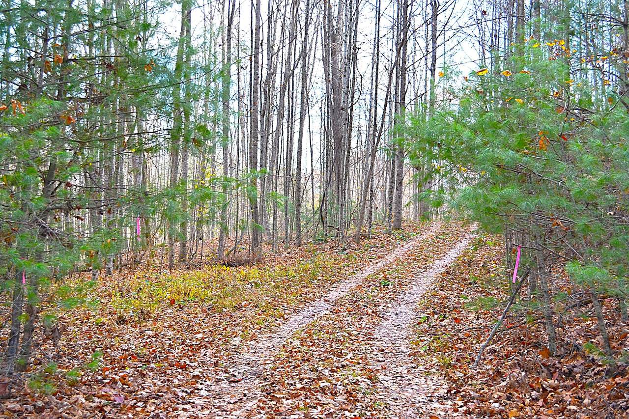 390 Joyful Way - Photo 1