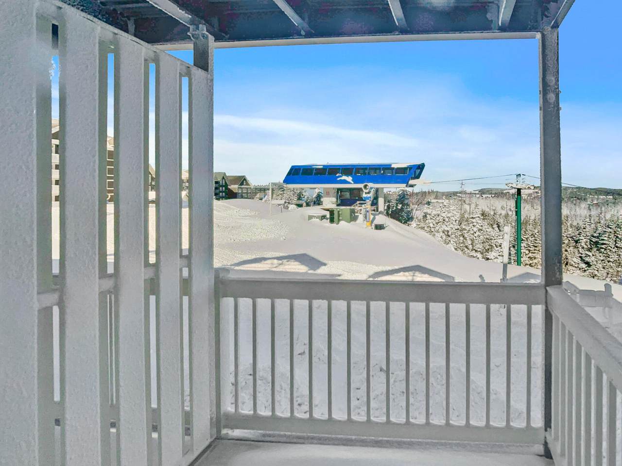 238 Mountain Ldg Ln - Photo 1