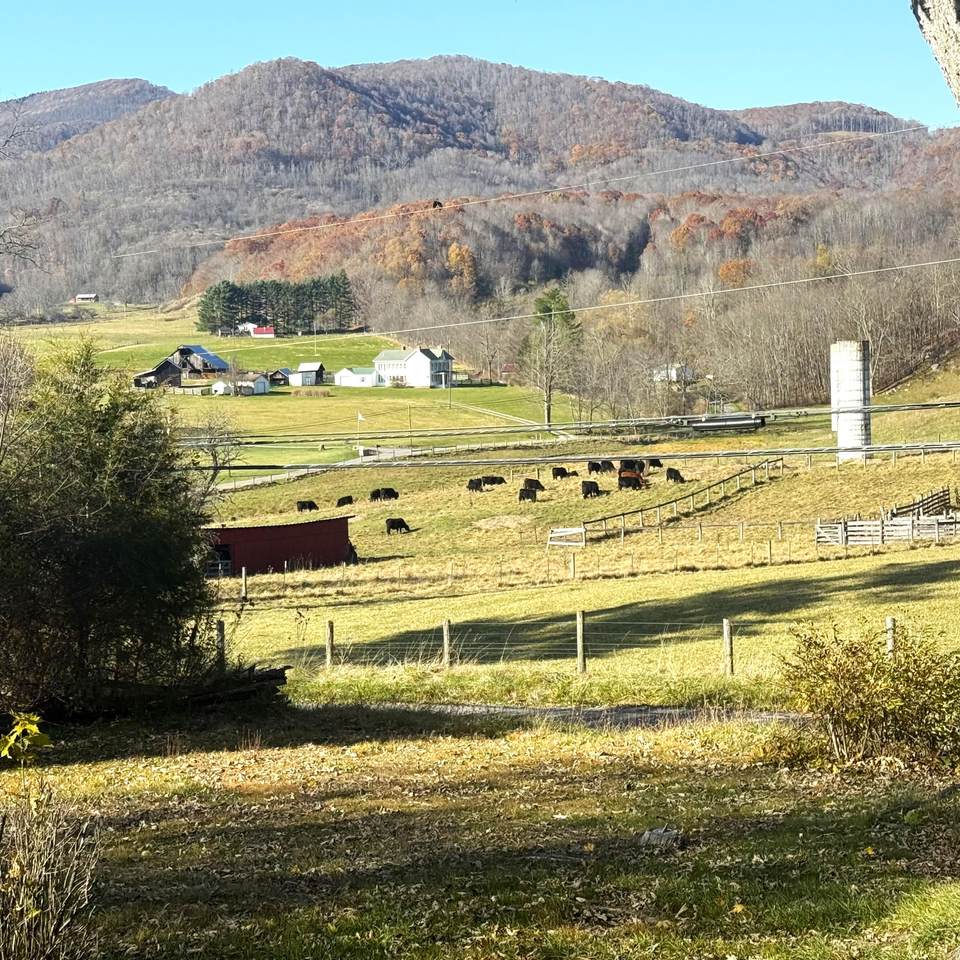 462 Edray Rd - Photo 1