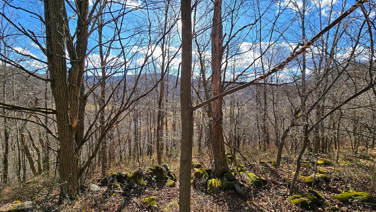  27 Acres Big Spring Elk - Photo 1