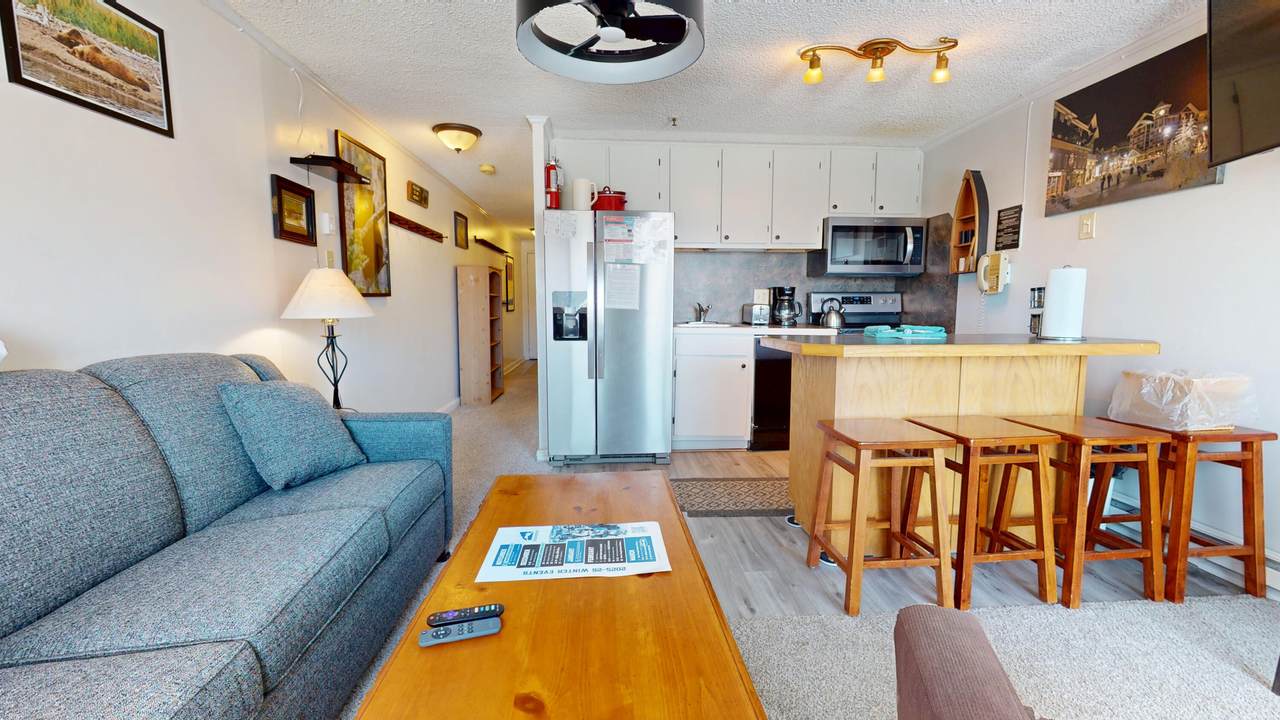 330 Mountain Lodge - Photo 1