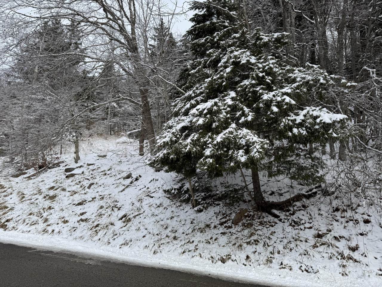 361 North West Ridge Rd - Photo 1