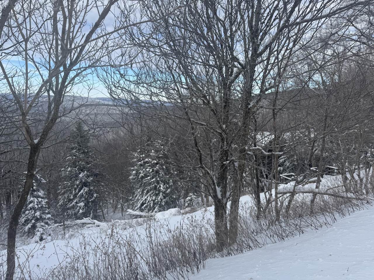 476 North West Ridge - Photo 1