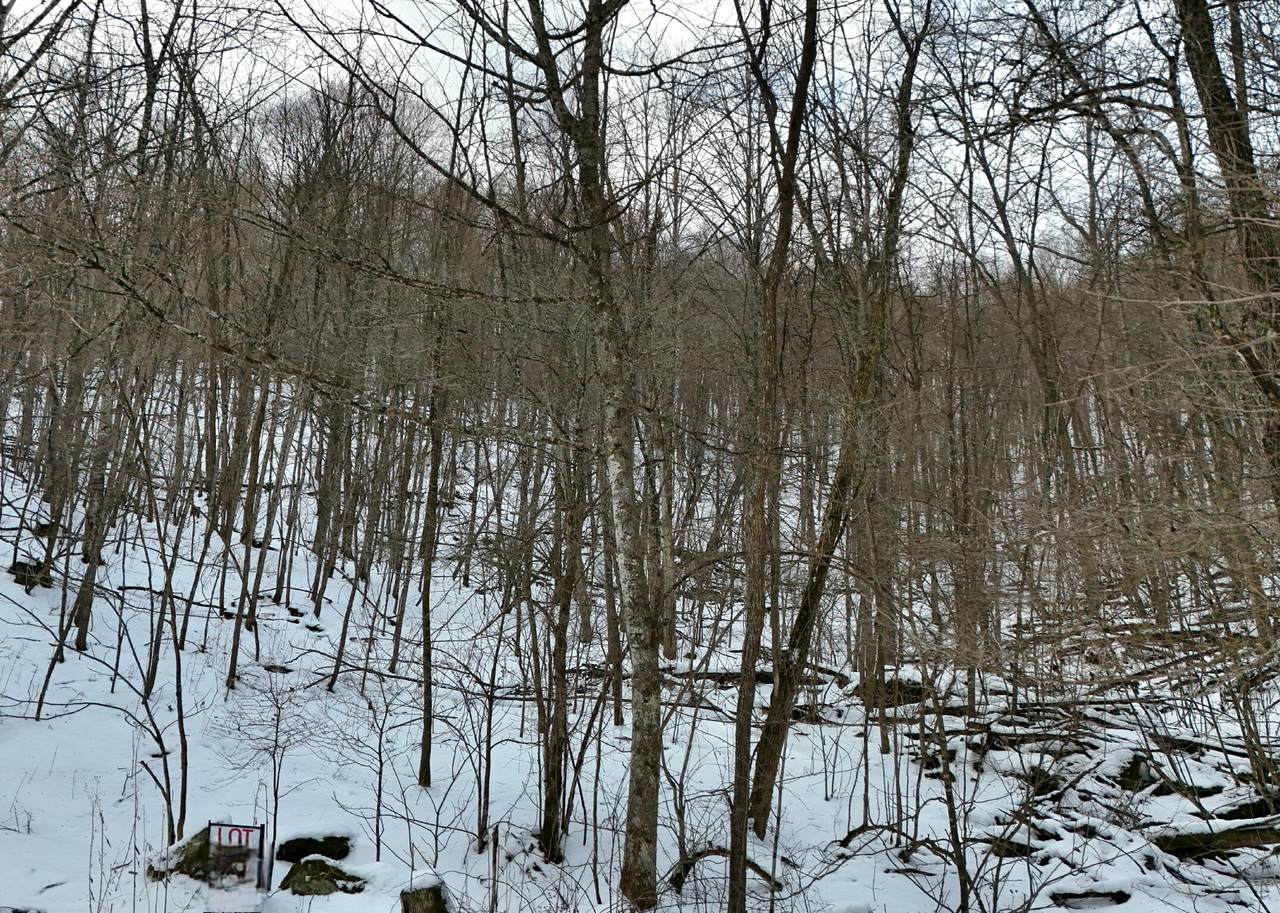 Lot D2 Gobblers Lane - Photo 1