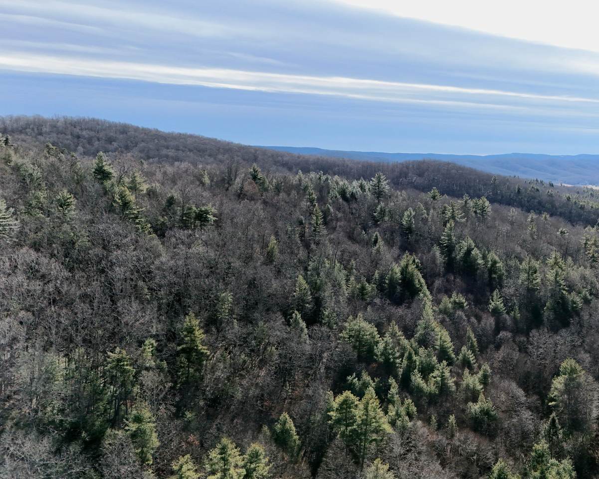 6290 Hollywood Glace Rd. - Photo 1