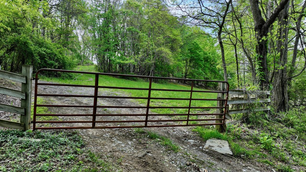 https://bt-photos.global.ssl.fastly.net/greenbrier/1280_boomver_1_25-1551-2.jpg