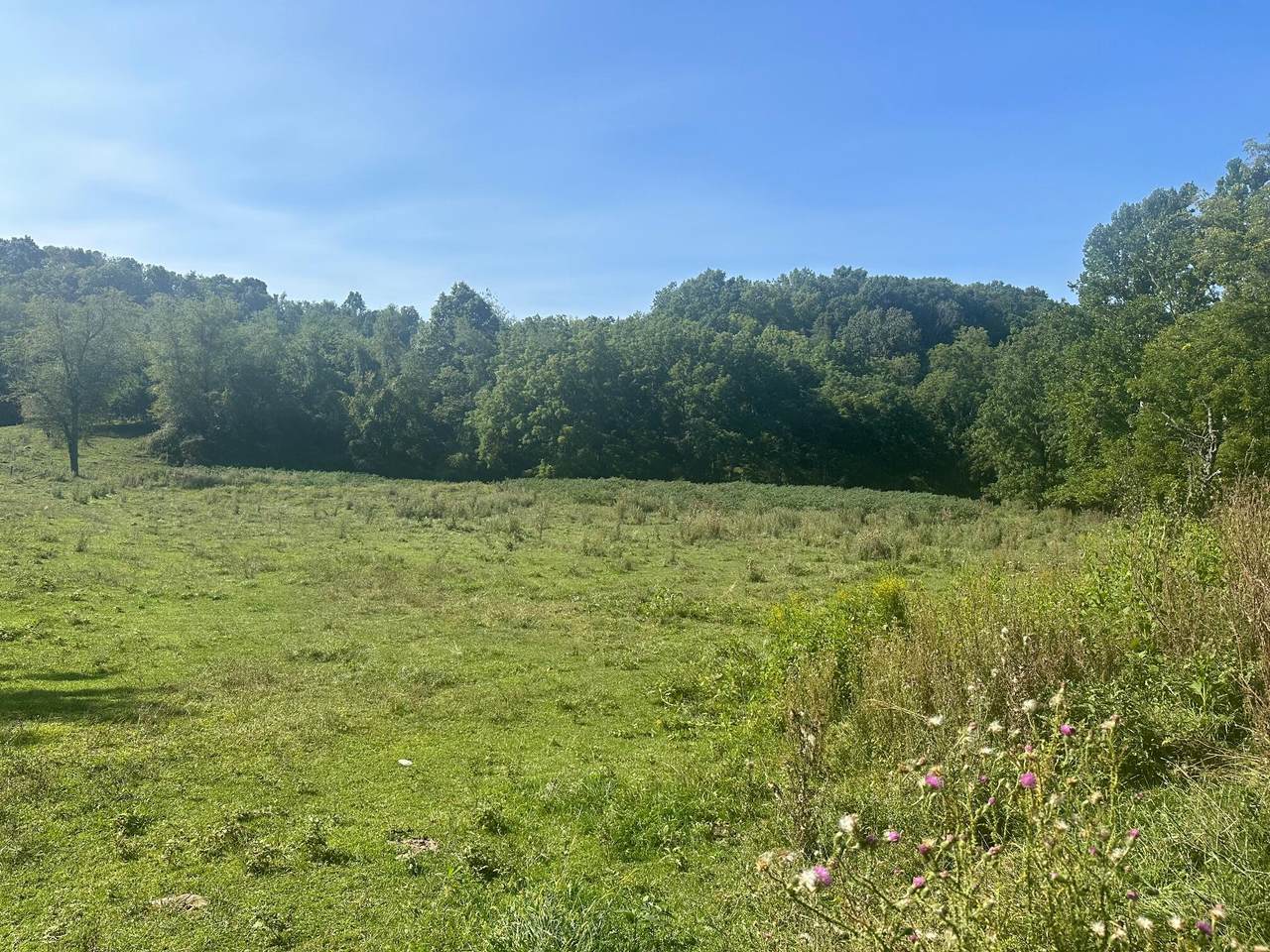 Rt. 63 W - Photo 1