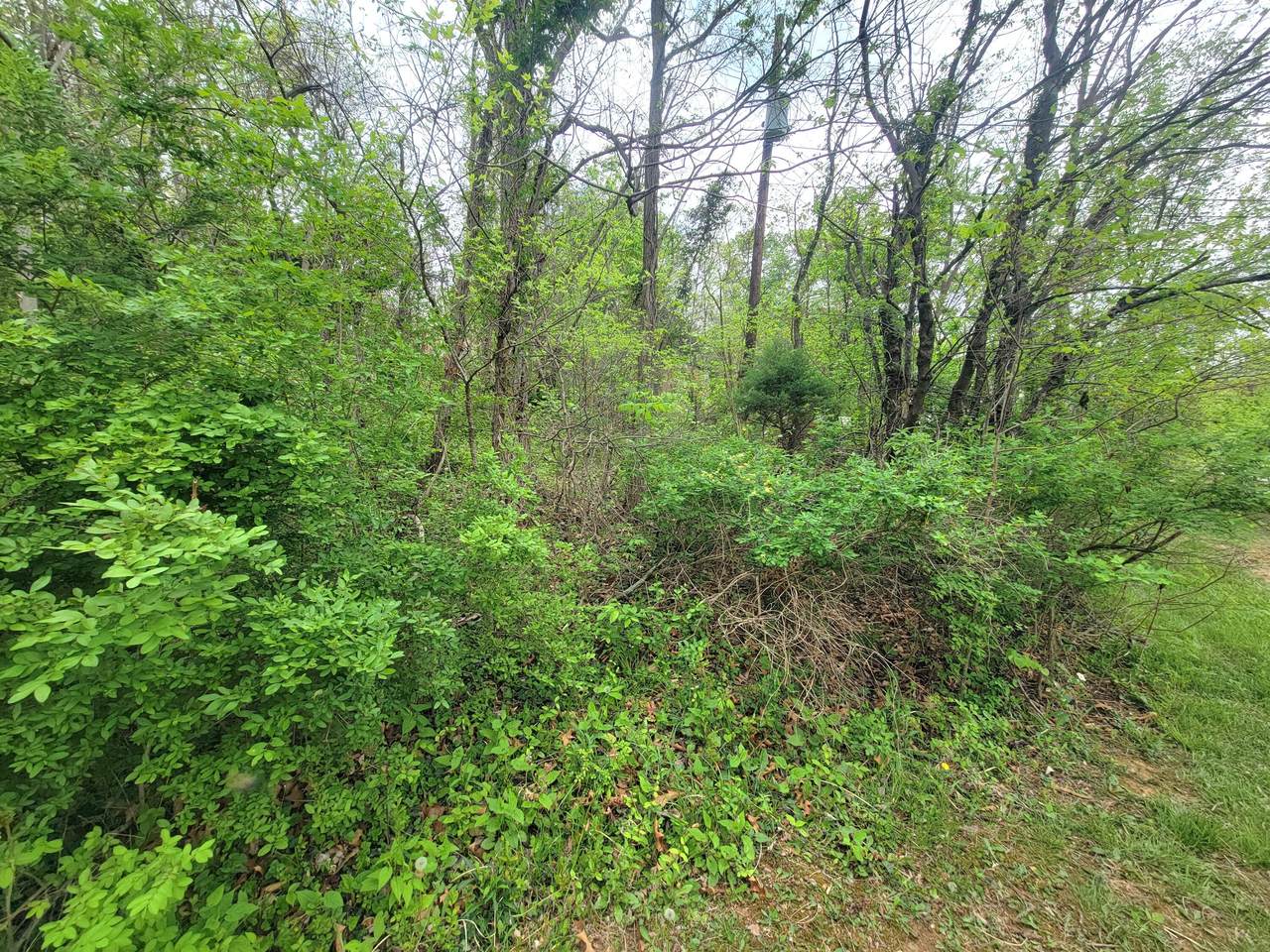 https://bt-photos.global.ssl.fastly.net/greenbrier/1280_boomver_1_25-482-2.jpg