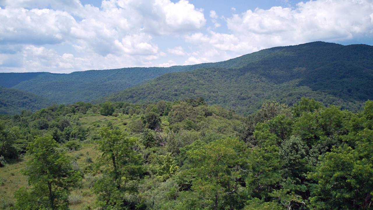 https://bt-photos.global.ssl.fastly.net/greenbrier/1280_boomver_1_25-815-2.jpg