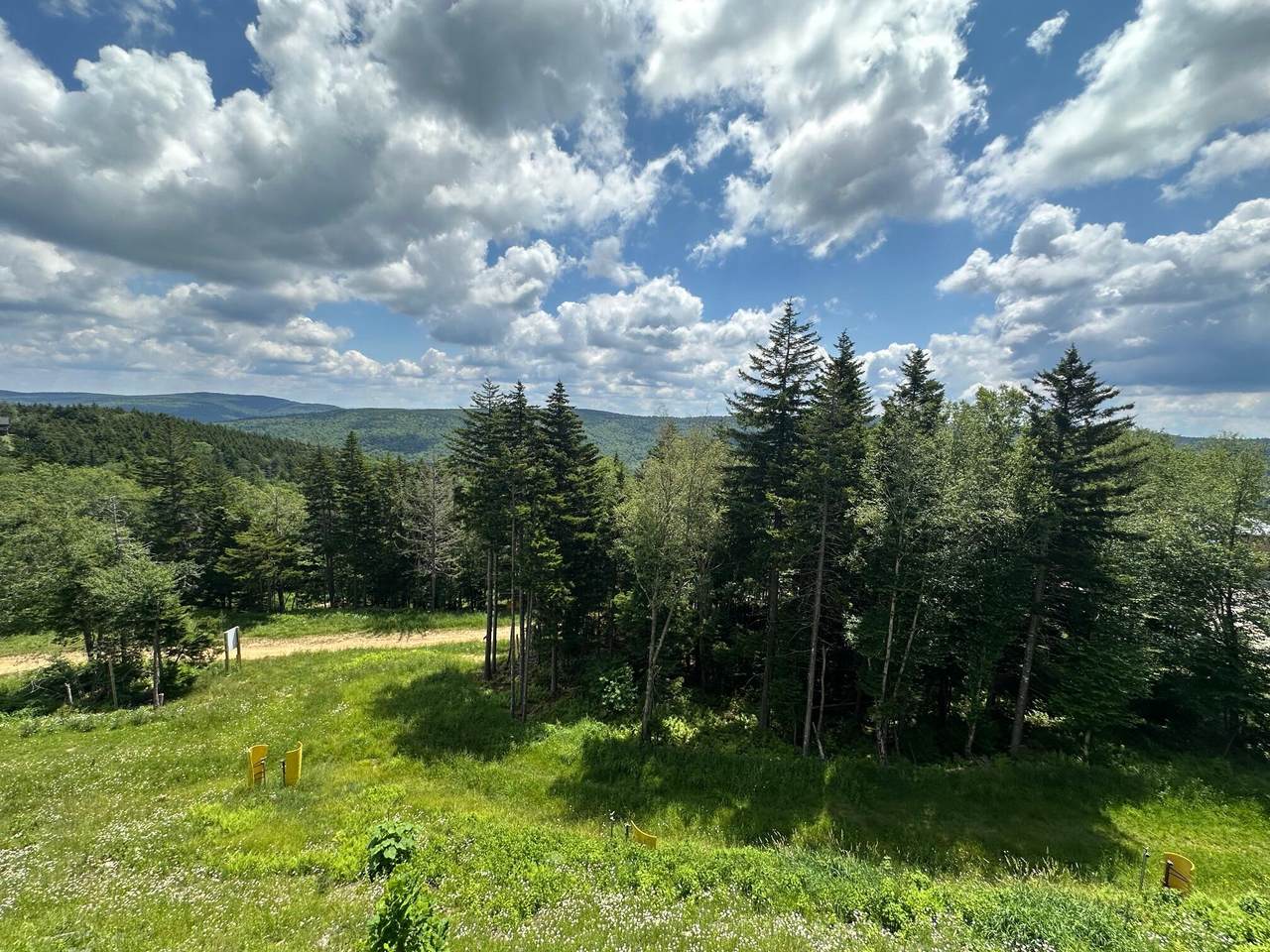 311 Red Spruce Dr - Photo 1