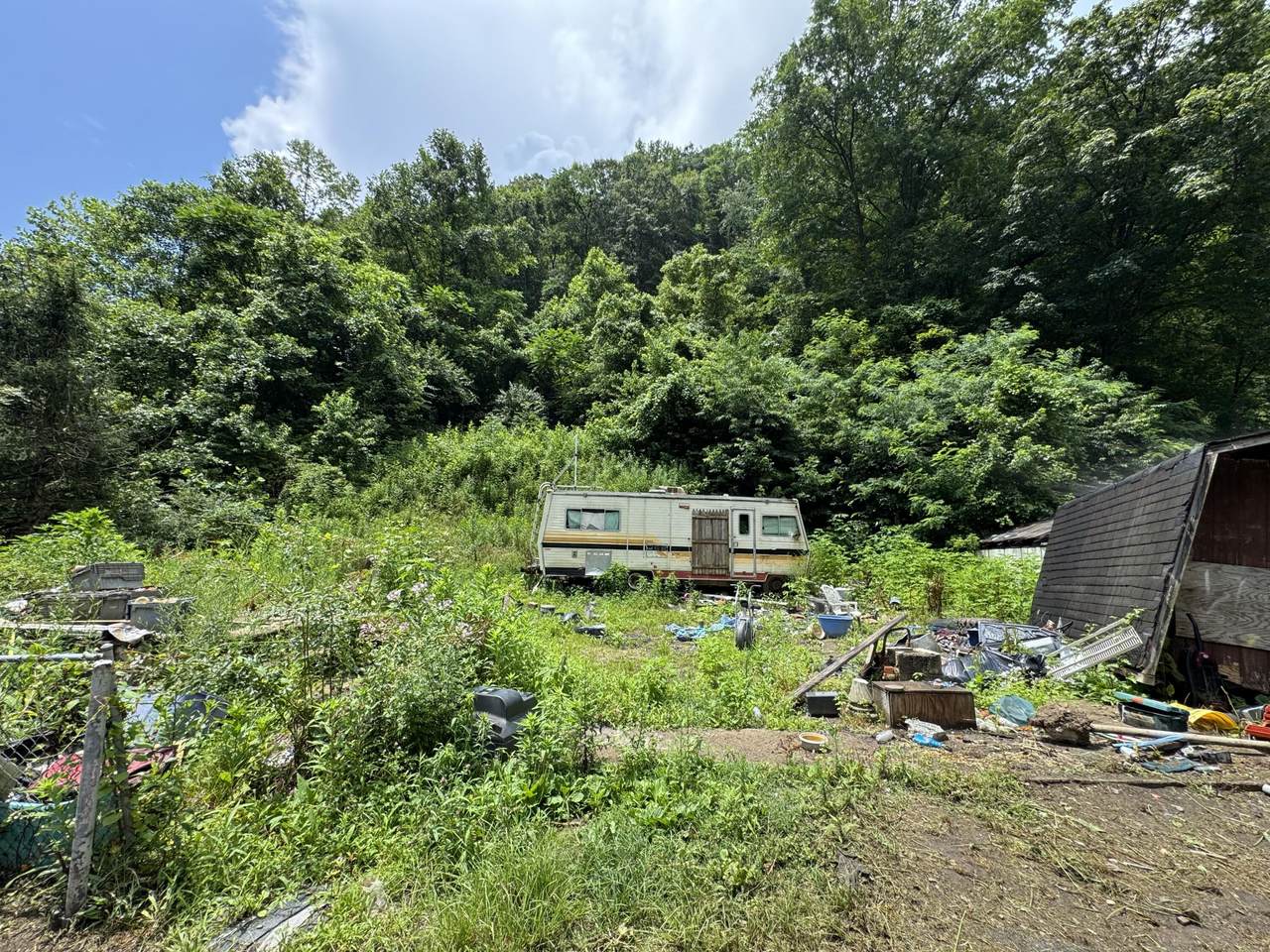 4955 Witcher Creek Rd - Photo 1