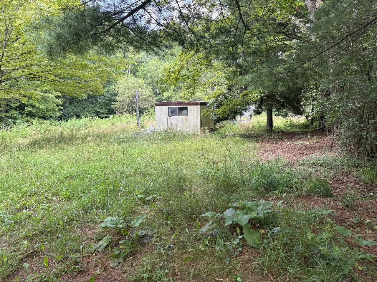 494 Hawkins Rd - Photo 1