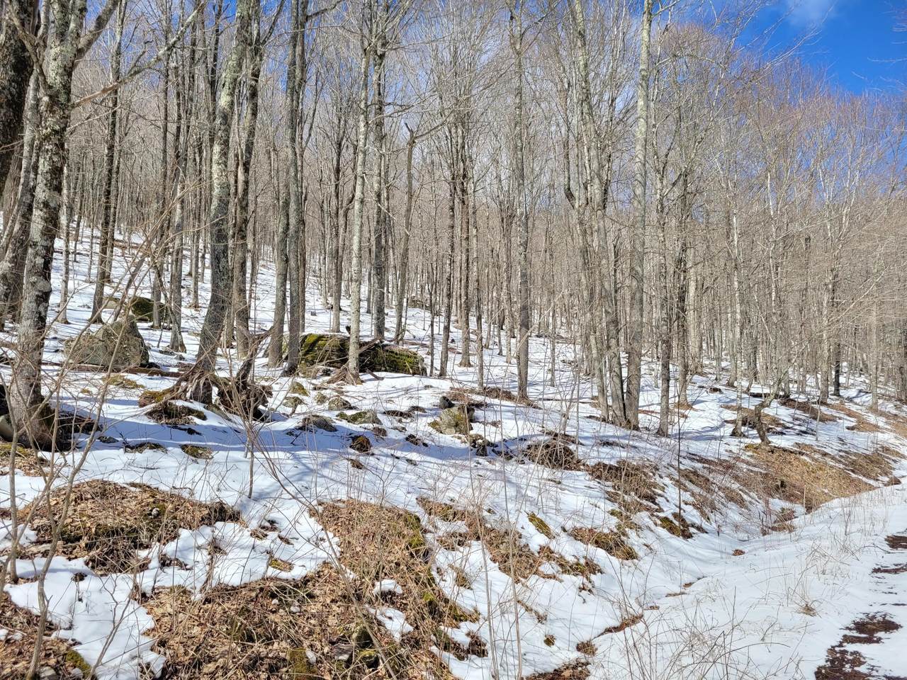 Lot 22 Eagles Nest - Photo 1